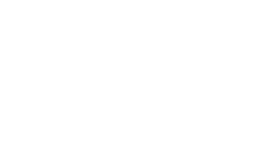 VISENDA